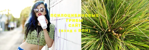 шишки Алзамай